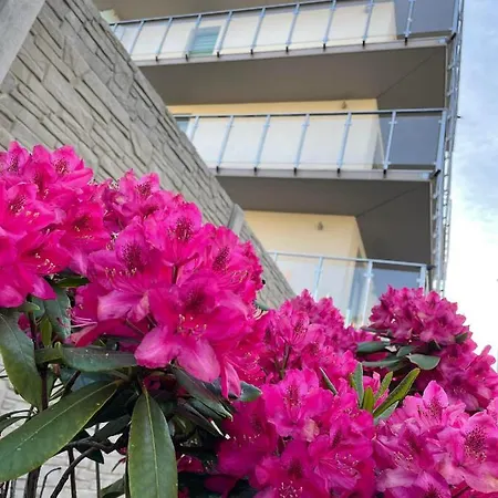 Olivkowe Apartamento