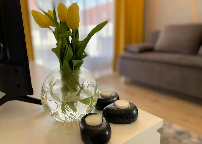 Olivkowe * Kołobrzeg